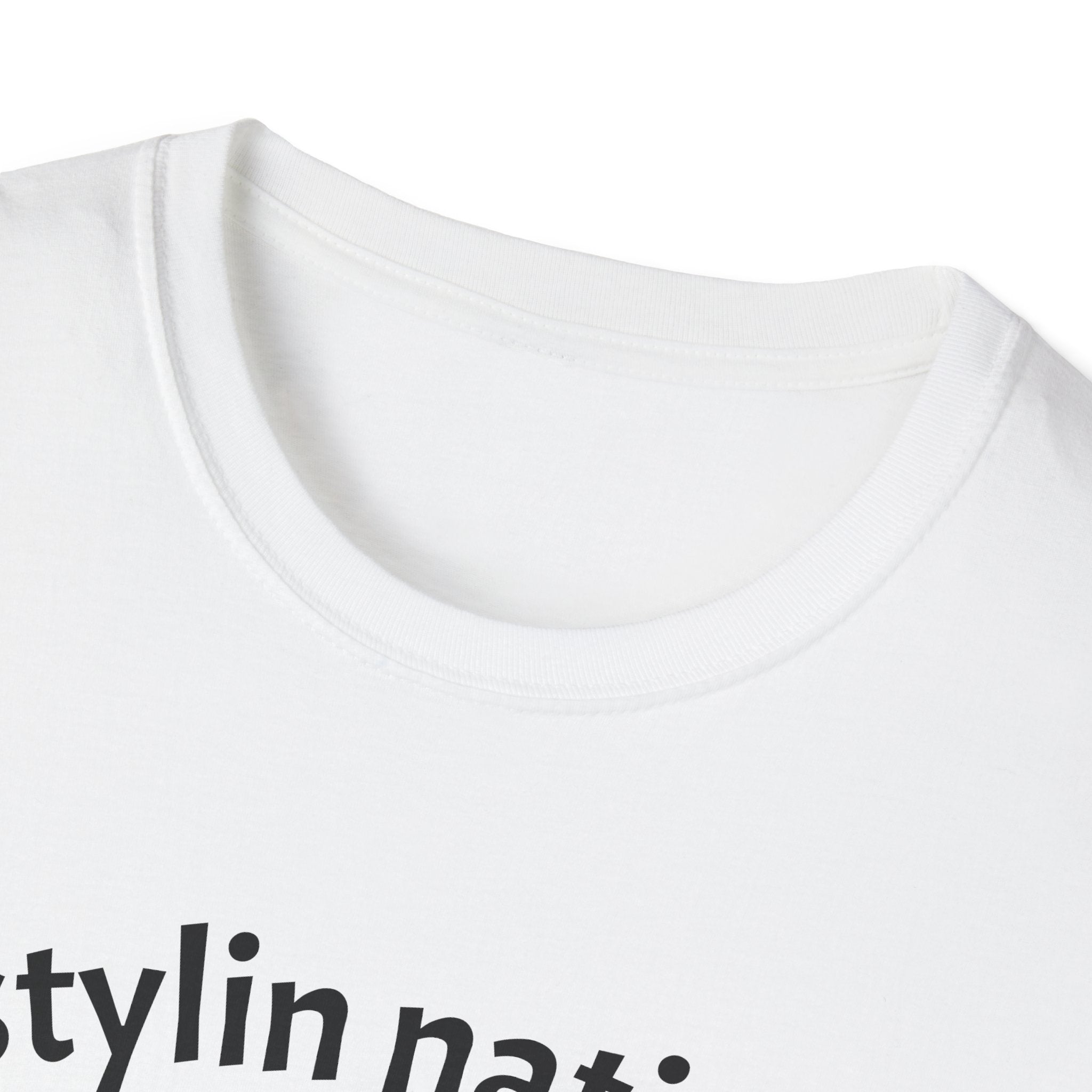 Stylin Native Tee | Native People Illustration T-Shirt